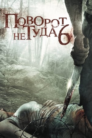 致命弯道6：终极审判