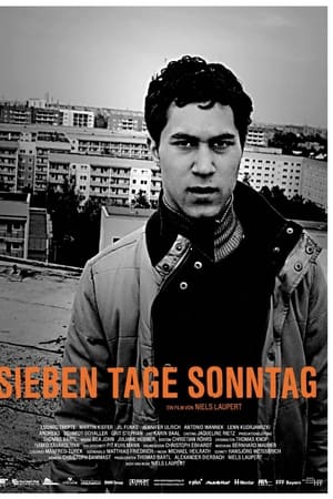 天天都是星期天