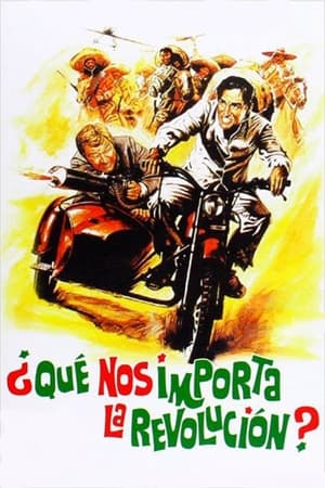 革命时我都干了什么？