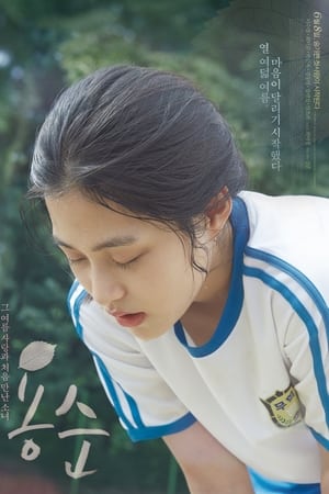 容顺