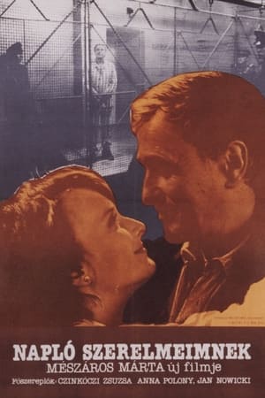 留给吾爱的日记