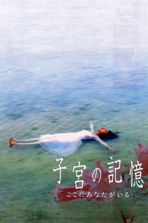子宫的记忆