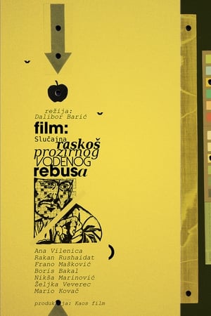 半透明水谜之忽然奢华