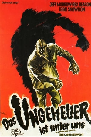 黑湖妖就在我们之间