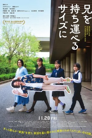 把哥哥变成可以携带的尺寸