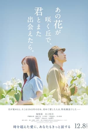 与你再遇鲜花盛开之丘