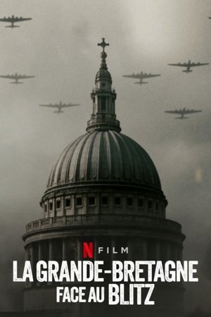 伦敦大轰炸：英国抵抗故事