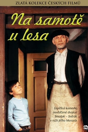 森林边缘的寂寞