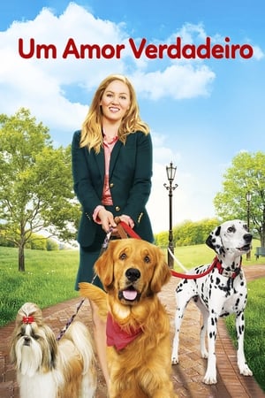 我的狗狗与贴心男友