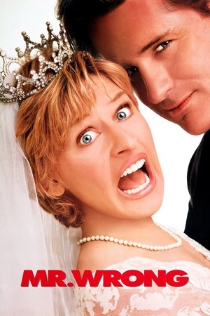 二见钟情之新好男人