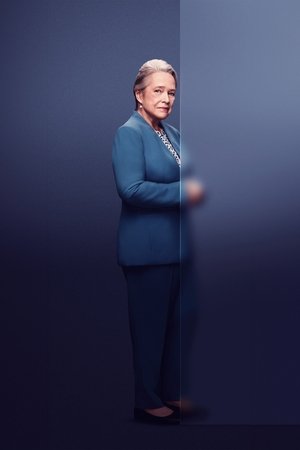 老练律师