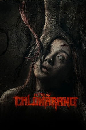 候选人阿兰的诅咒