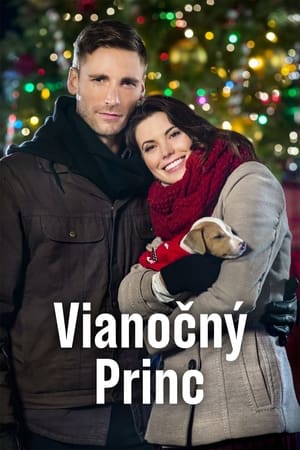 蠢货特务和编织女的公路之旅