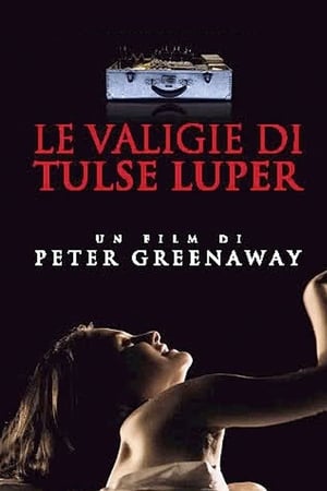 塔斯鲁波的手提箱