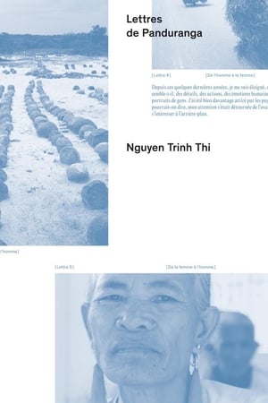 来自宾童龙的信