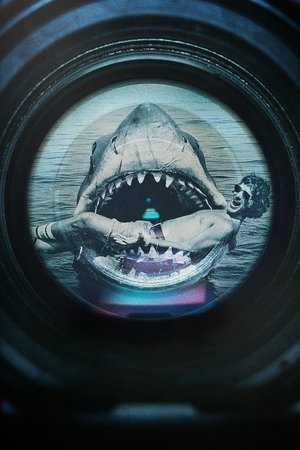 《大白鲨》五十年：决定性幕后故事