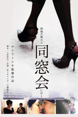 公寓妻子：同学聚会