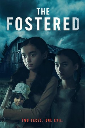 寄养家庭,The Fostered(2025电影)