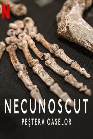 地球未知档案：骸骨洞穴