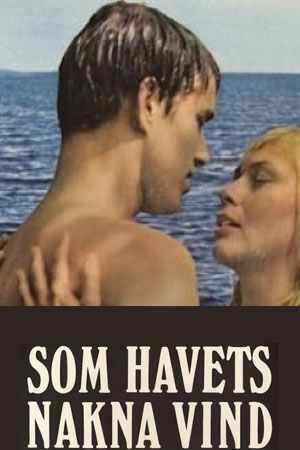 一个瑞典的夏天