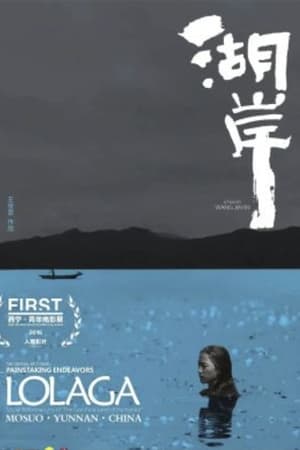 湖岸(2017电影)
