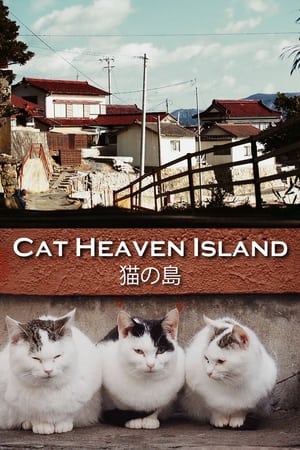 猫之岛