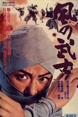 风之武士