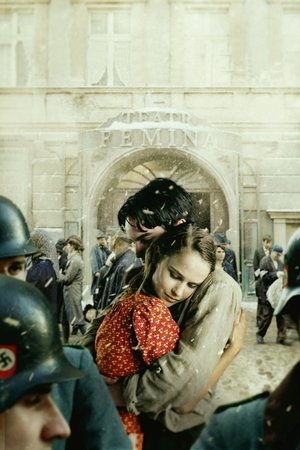 为爱找一个房间