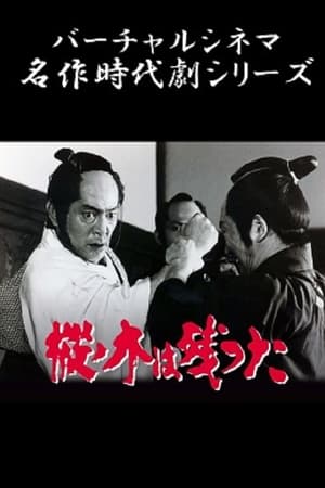 最后的枞树