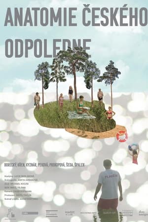 捷克午后的剖析