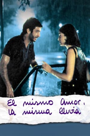 那场雨，那场爱