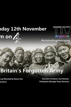 被英国遗忘的军队：中国劳工兵团