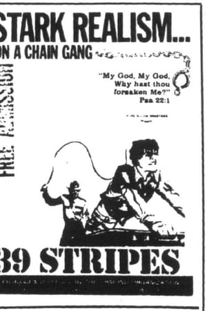 39条臂章,39 Stripes(1979电影)