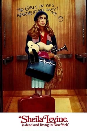 希拉·莱文的纽约生活