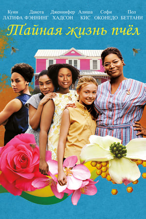 蜜蜂的秘密生活