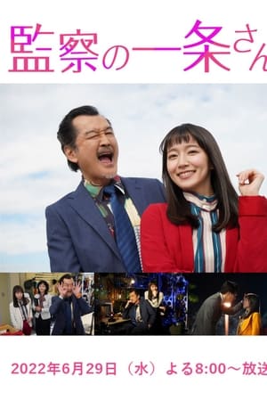 监察的一条先生