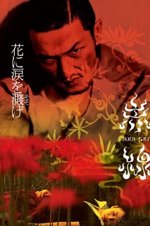 赤線
